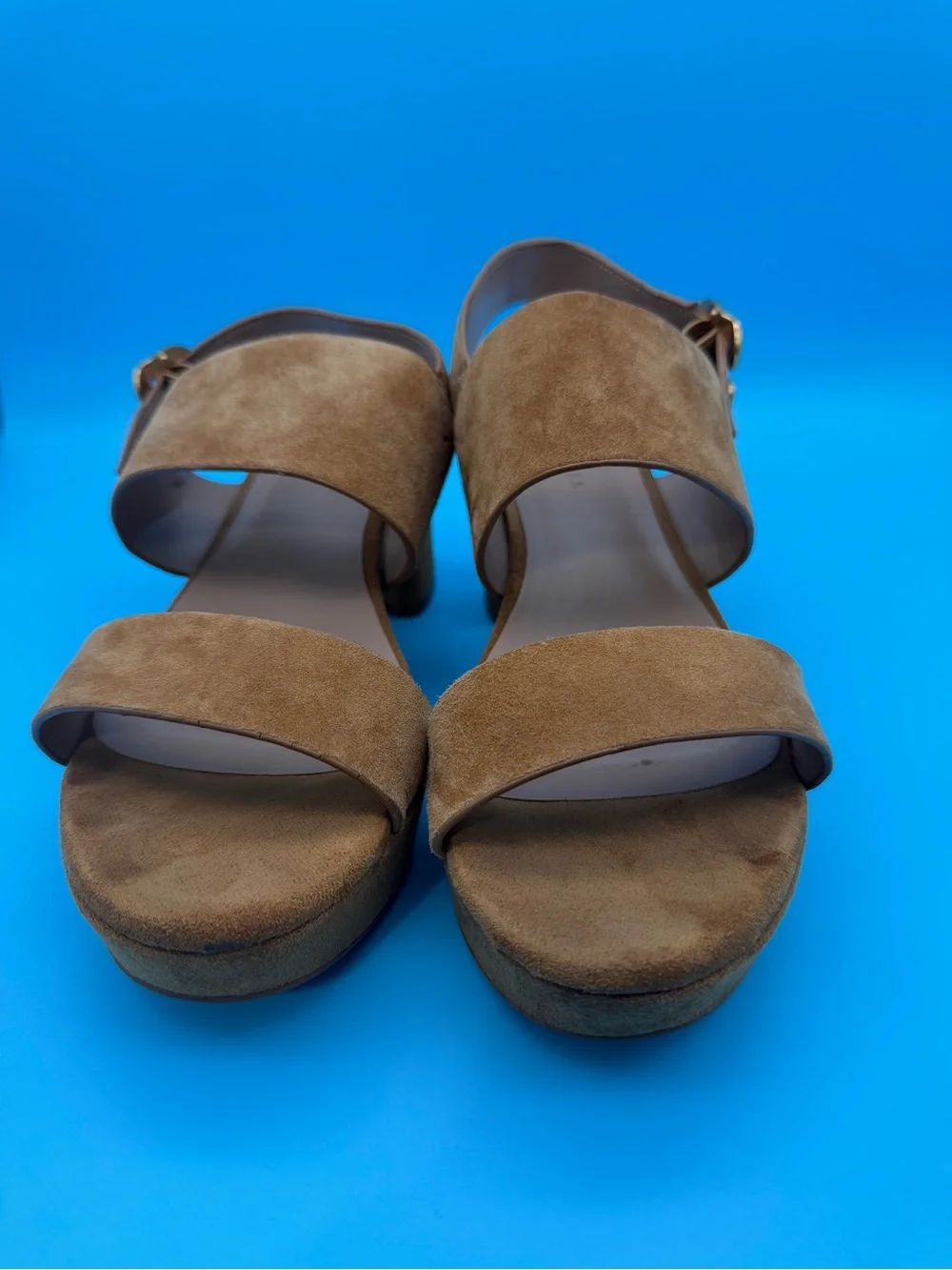 AEROSOLES Camera Platform Sandal in cognac suede